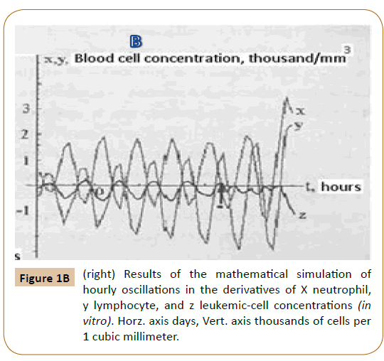 Preventive-Medicine-mathematical-simulation