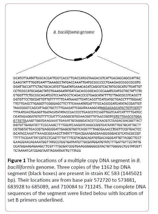 acmicrob-base-pair