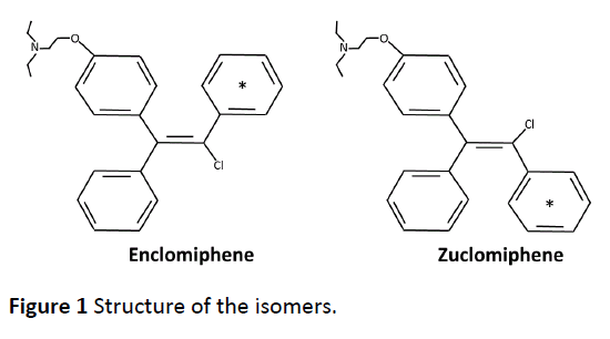 advanced-techniques-clinical-microbiology-Structure-isomers