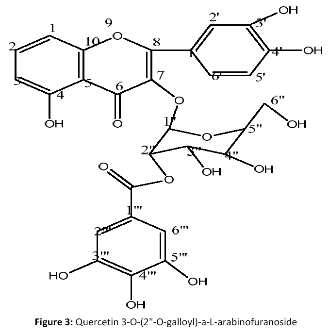 Phytochemical Screening On Euphorbia Milii Red Flowers Aƒa A A A A œ Isolation Of Terpenoids Flavone And Phenols Insight Medical Publishing