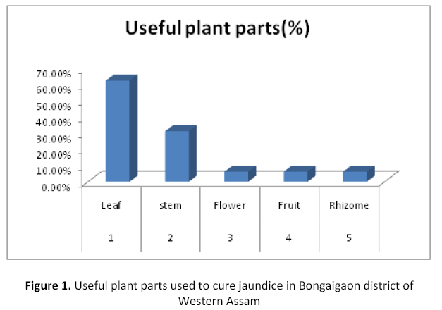 american-journal-ethnomedicine-bongaigaon