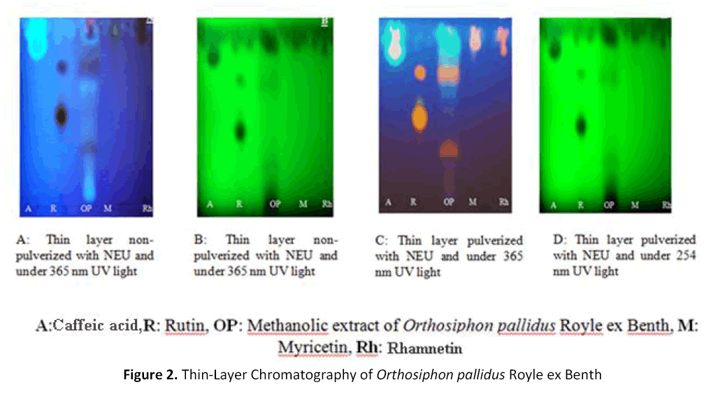 american-journal-ethnomedicine-chromatography