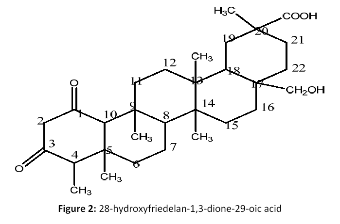 american-journal-ethnomedicine-hydroxyfriedelan