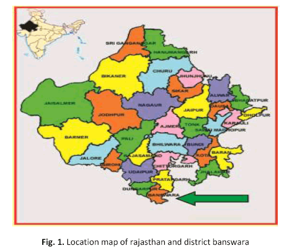 american-journal-ethnomedicine-rajasthan