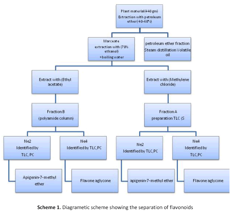 american-journal-ethnomedicine-separation