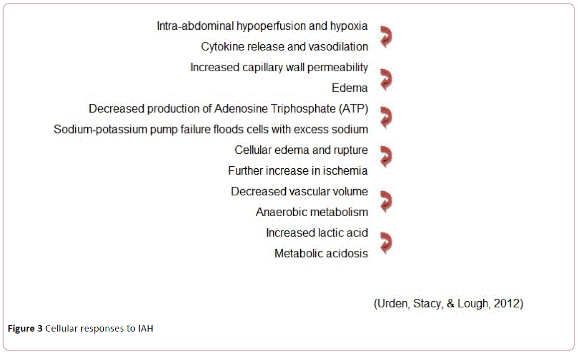 anaesthesiology-critical-responses-IAH