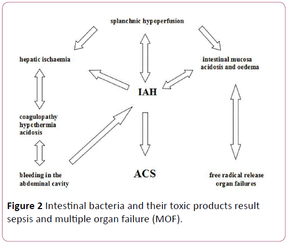 anaesthesiology-critical-toxic-products