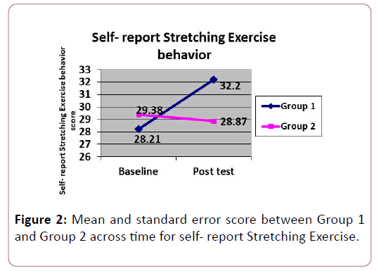 anatomical-science-research-Stretching-Exercise