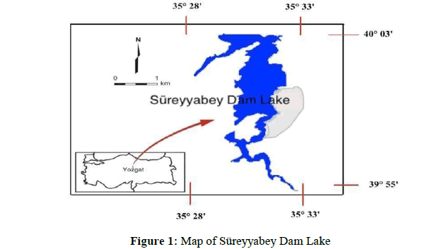 annals-biological-sciences-lake