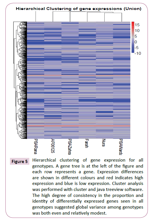 applied-microbiology-and-biochemistry-clustering