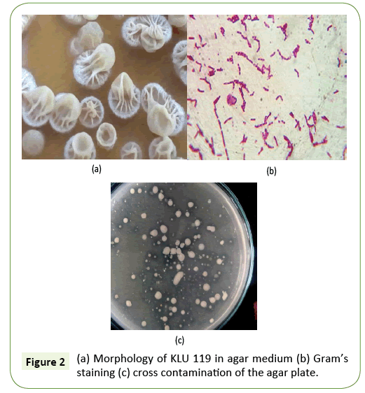 applied-microbiology-and-biochemistry-contamination