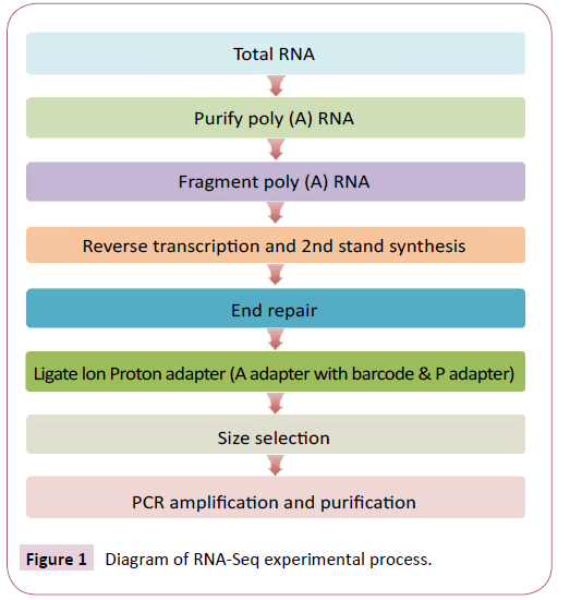 applied-microbiology-and-biochemistry-experimental