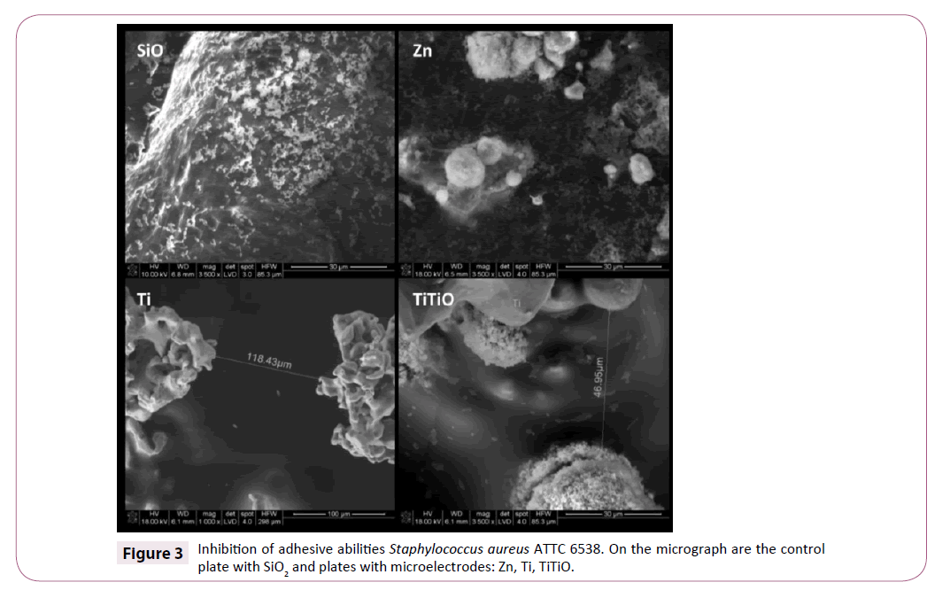 applied-microbiology-and-biochemistry-microelectrodes