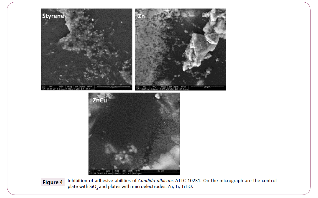 applied-microbiology-and-biochemistry-micrograph