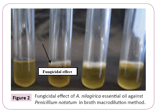 applied-microbiology-and-biochemistry-notatum