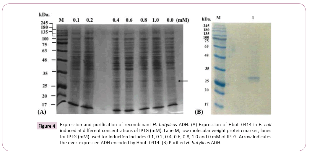 applied-microbiology-and-biochemistry-recombinant