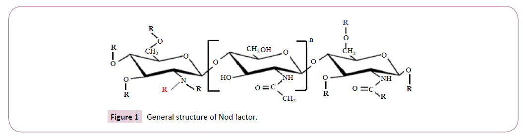 applied-microbiology-and-biochemistry-structure