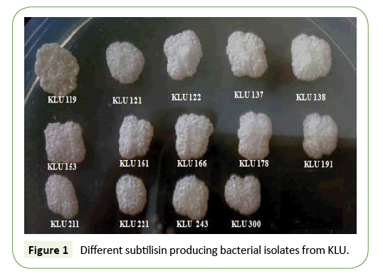 applied-microbiology-and-biochemistry-subtilisin