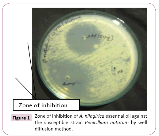 applied-microbiology-and-biochemistry-susceptible