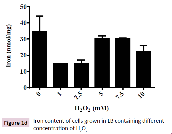 applied-microbiology-biochemistry-cells-grown