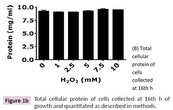 applied-microbiology-biochemistry-cellular-protein