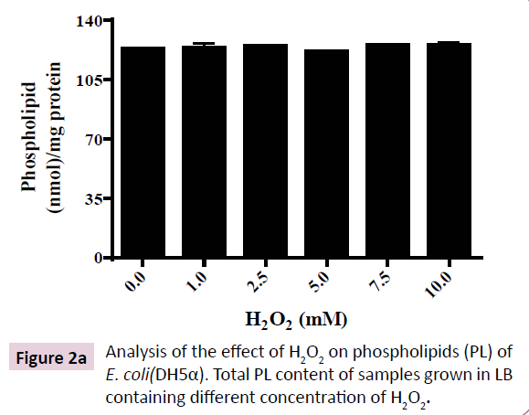 applied-microbiology-biochemistry-different-concentration