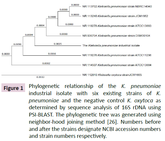 applied-microbiology-biochemistry-phylogenetic-relationship