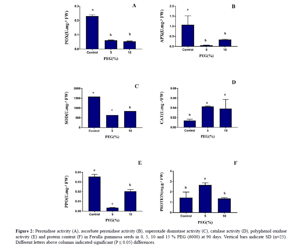 asian-plant-ascorbate-peroxidase