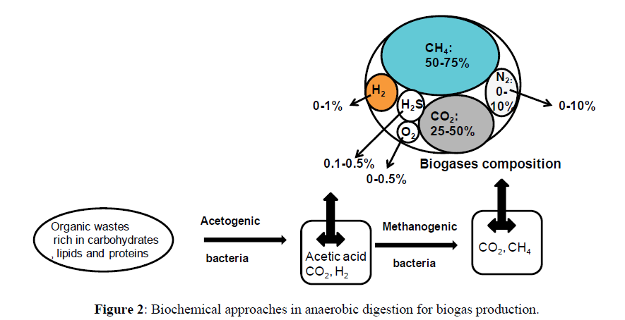 biological-sciences-biogas-production