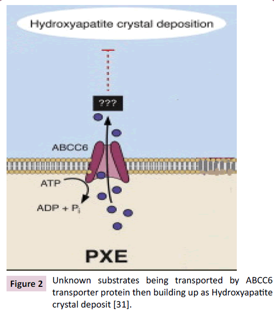 biology-medical-research-crystal-deposit