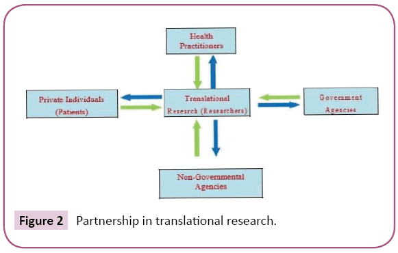 biology-medical-research-translational-research