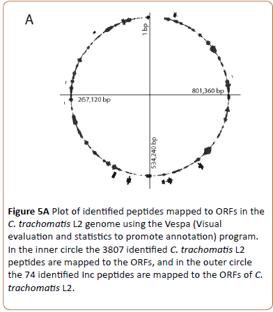 biomedical-science-applications-peptides-mapped