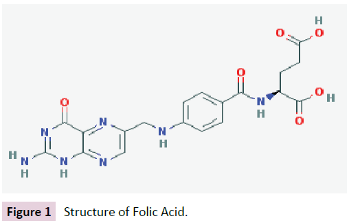 birth-defects-Structure-Folic-Acid