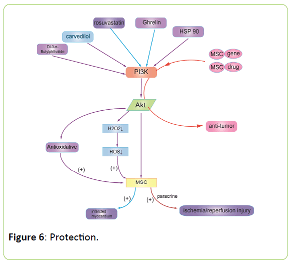 british-biomedical-bulletin-Protection