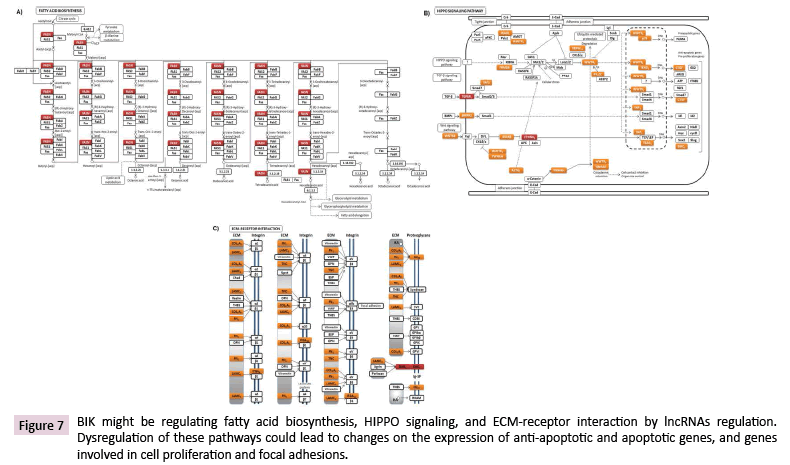 cancer-biology-and-therapeutic-oncology-anti-apoptotic