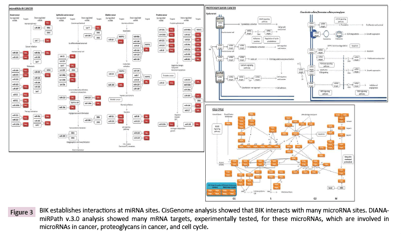 cancer-biology-and-therapeutic-oncology-experimentally