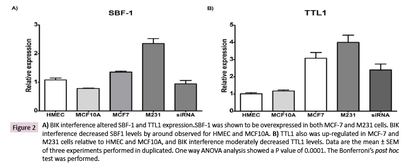 cancer-biology-and-therapeutic-oncology-expression