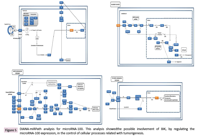 cancer-biology-and-therapeutic-oncology-involvement