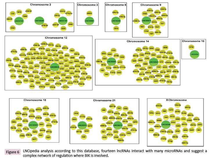 cancer-biology-and-therapeutic-oncology-regulation