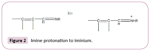 cell-developmental-biology-iminium