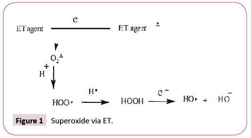 cell-developmental-biology-superoxide