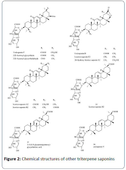 chemical-biology-chemistry-triterpene-saponins