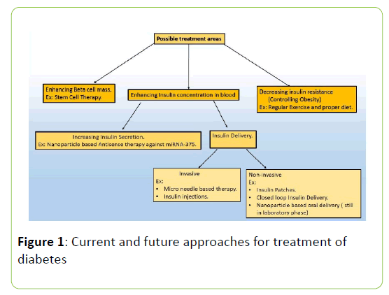 clinical-molecular-endocrinology-diabetes