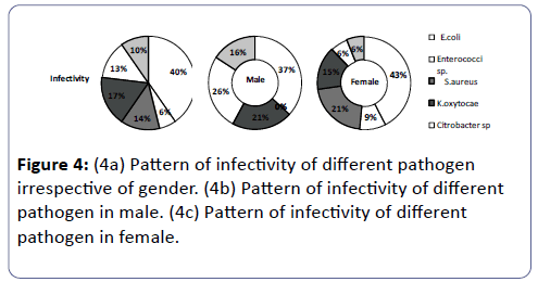 clinical-molecular-pathology-Pattern-infectivity