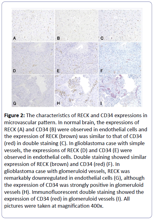 clinical-molecular-pathology-brain-cells