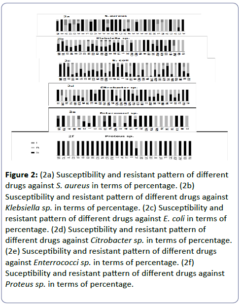 clinical-molecular-pathology-resistant-pattern