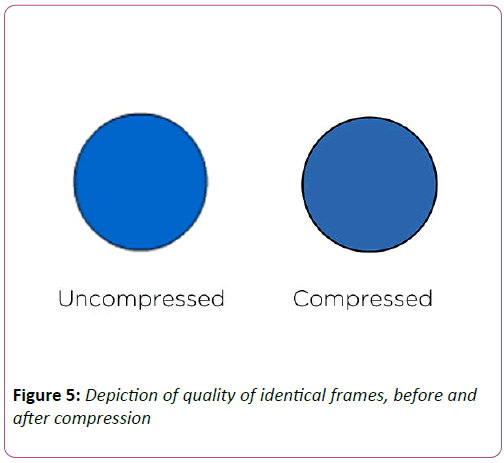 computer-science-and-information-technology-quality