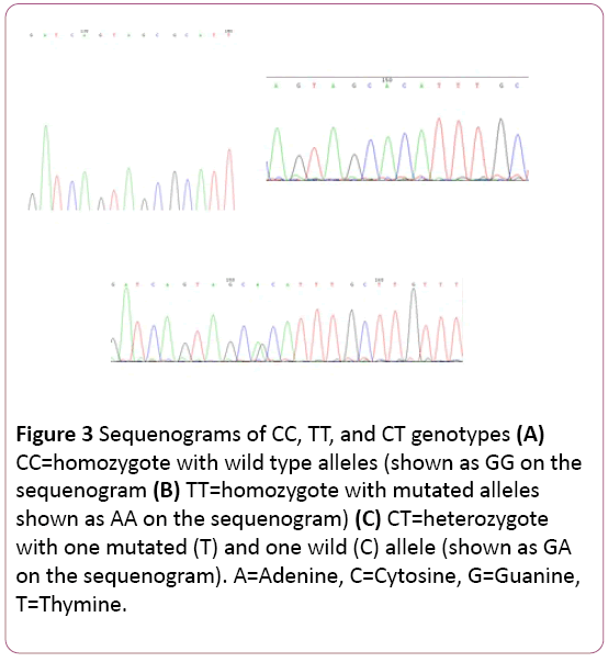 dental-craniofacial-research-CT-genotypes