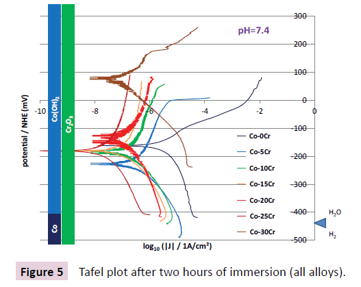 dental-craniofacial-research-Tafel-plot