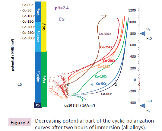 dental-craniofacial-research-cyclic-polarization